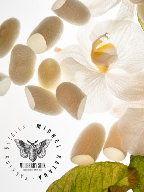 Шелковый (Бахмаль) конверт-папка-косметичка MIRACULUM TRANSFORMA! (Чудо преображения!) Plic_MIRACULUM TRANSFORMA